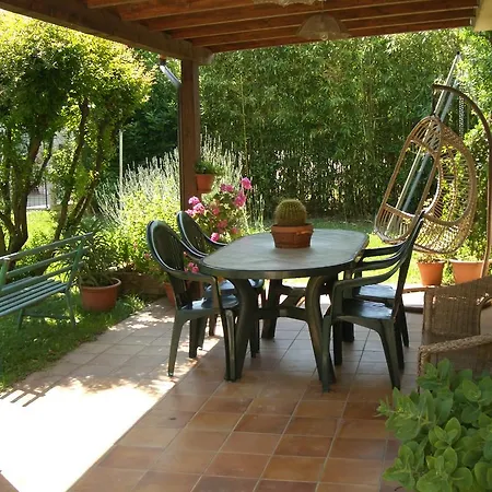 Al Gelsomino البندقية